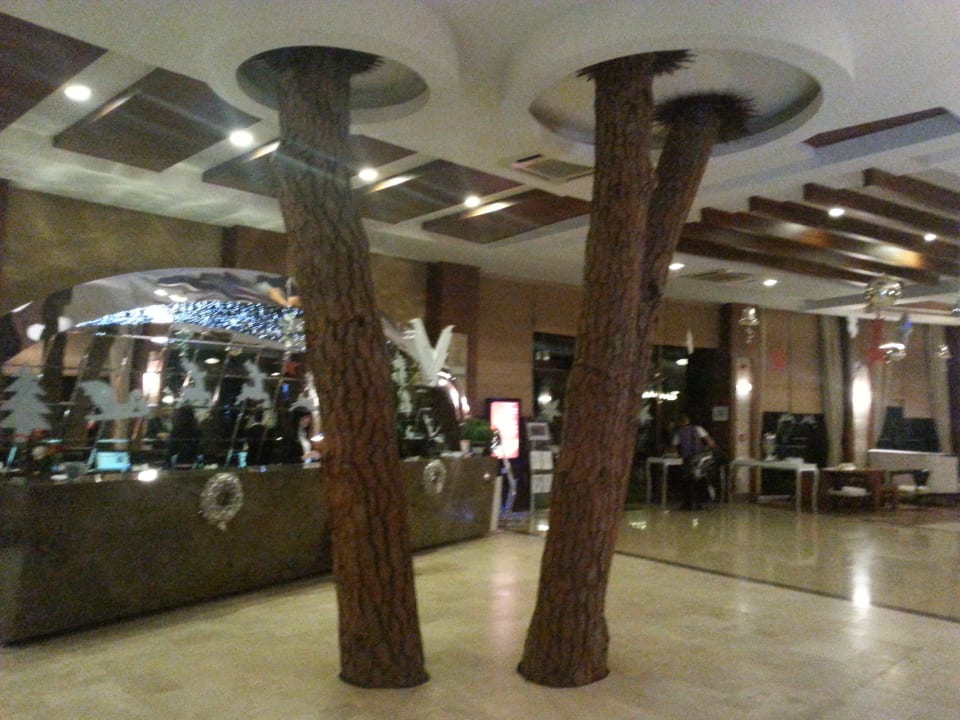 Hier wächst der Baum durchs Haus Voyage Belek Golf & Spa