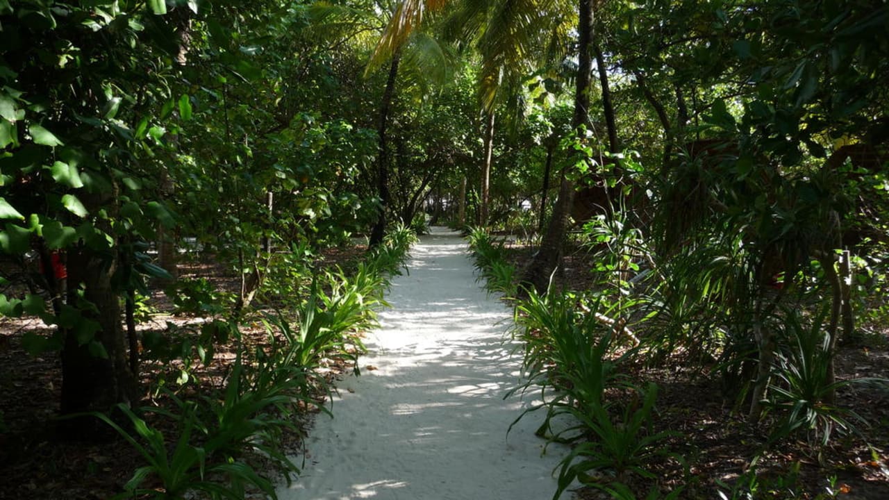 Schattige Wege NH Collection Maldives Reethi Resort