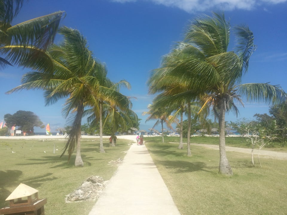 Die Allee zum Strand Hotel Playa Pesquero