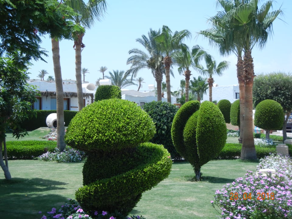 Gartenanlage Sharm Club Beach Resort