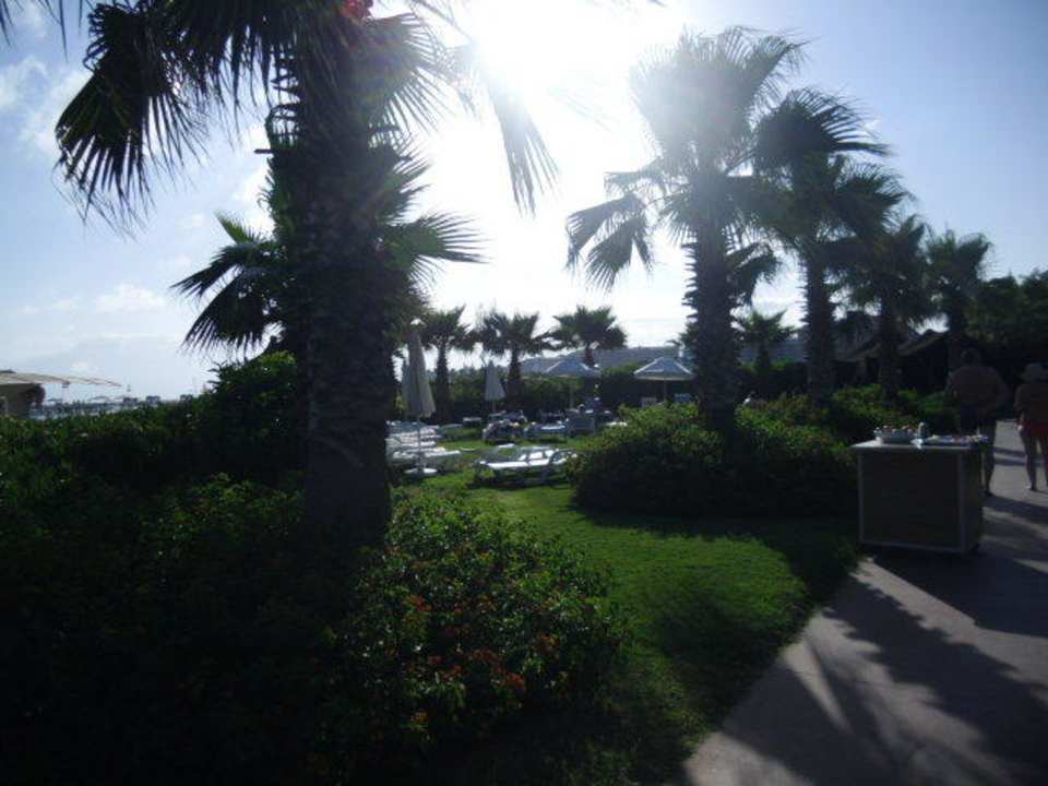 Grün bis zum umfallen Saturn Palace Resort Hotel