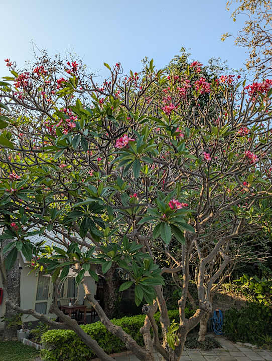 Gartenanlage Hotel Baan Bayan Hua Hin