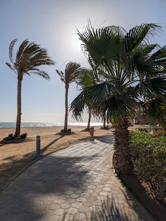 Gartenanlage Steigenberger Resort Alaya Marsa Alam - Red Sea - Adults only