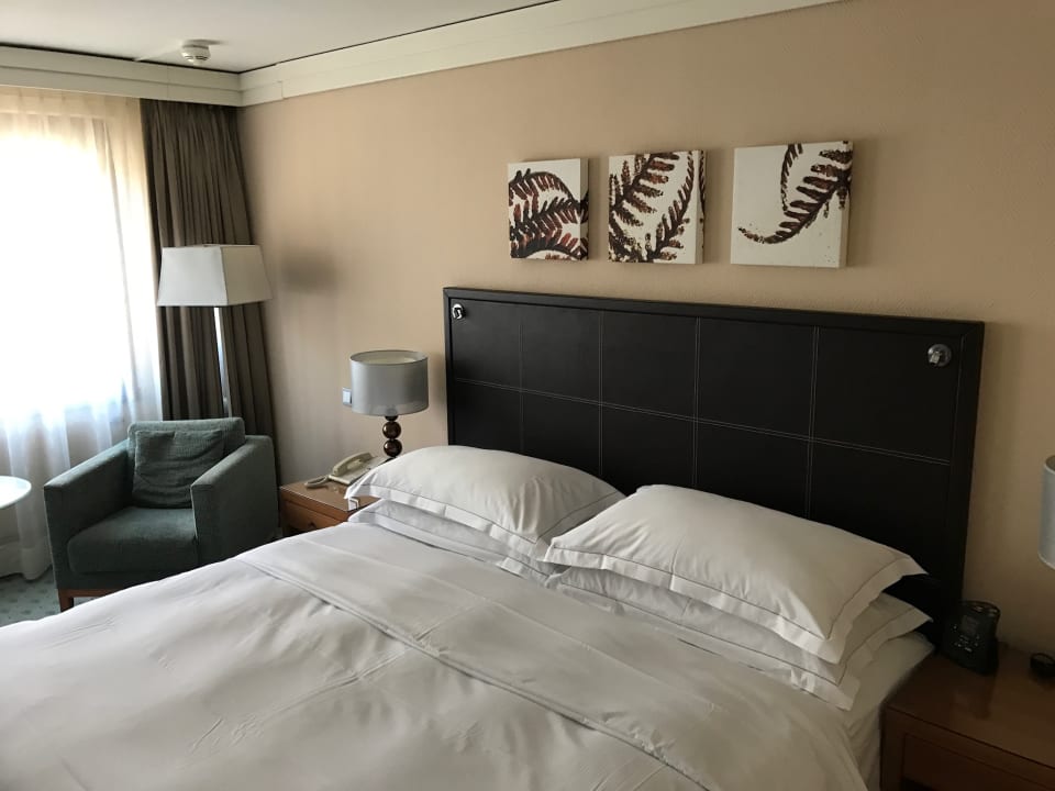 Zimmer Hilton Dresden