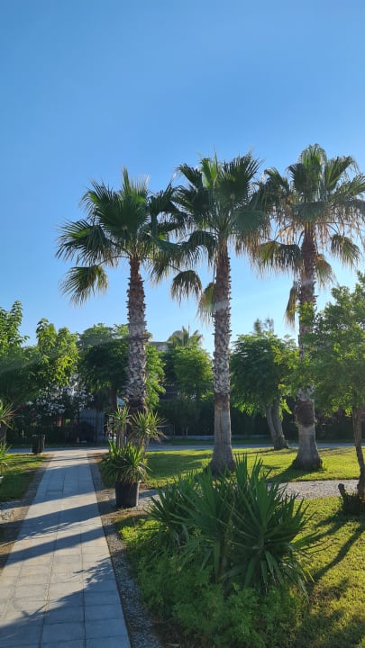 Gartenanlage Aydinbey Kings Palace & Spa