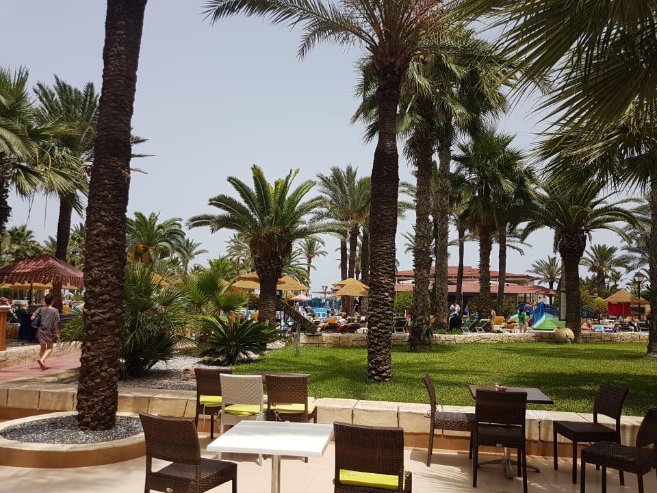 Garten Riadh Palms Resort & Spa