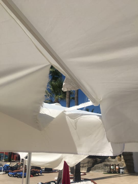 Pool Monachus Family Resort Sorgun