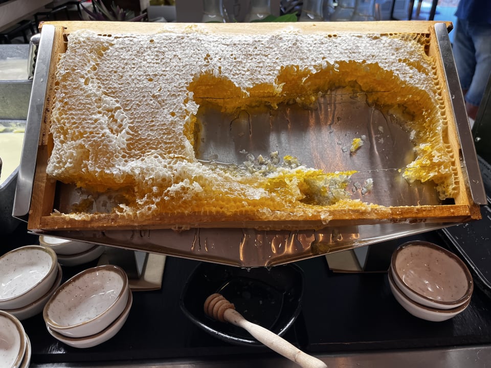 Gastro Hotel HM Ayron Park