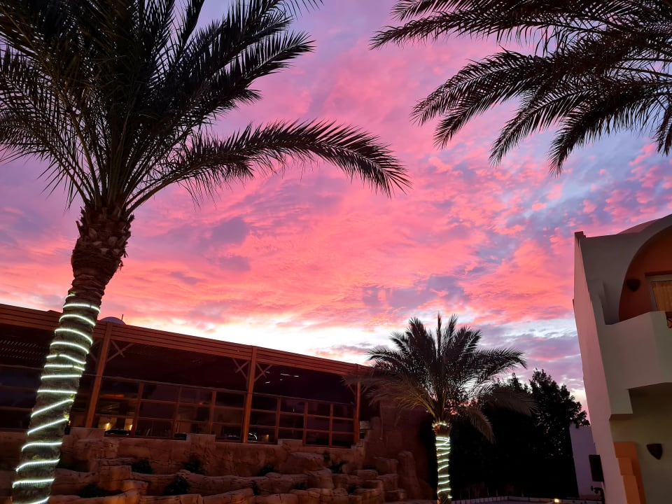 Gartenanlage Three Corners Sea Beach Resort