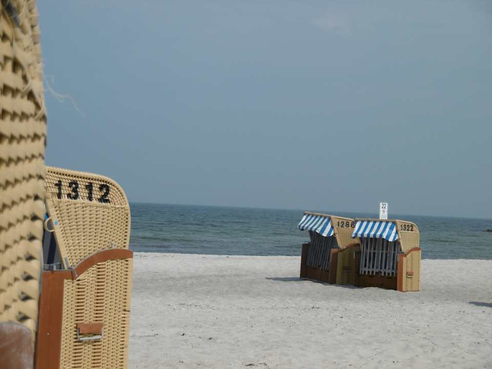 Ich glaube wir sind alleine Ferienwohnhung Strandschwalbe