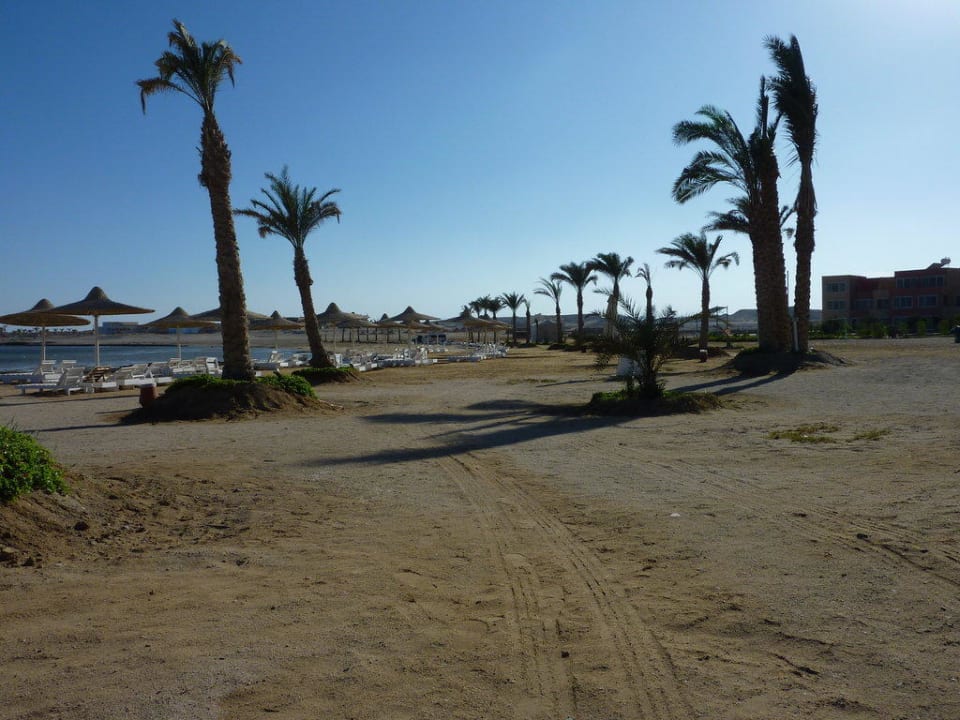 Strandbereich Einstieg Bucht Shoni Bay