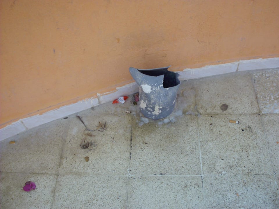 "Poolbar" Hotel African Queen