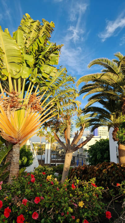 Gartenanlage Sol Fuerteventura Jandia - All Suites