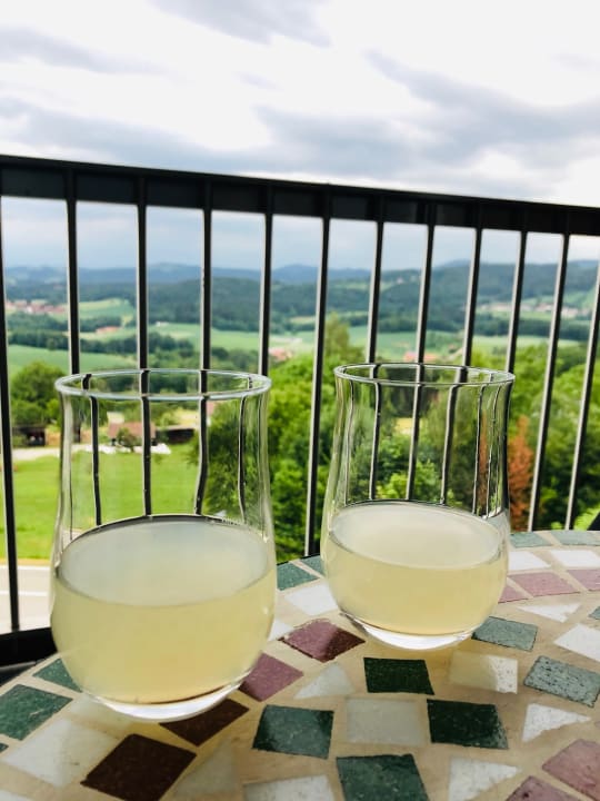 Ausblick Thula Wellnesshotel Bayerischer Wald