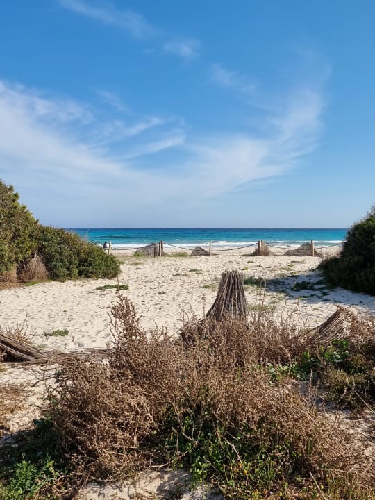 Strand Hipotels Mediterraneo Club