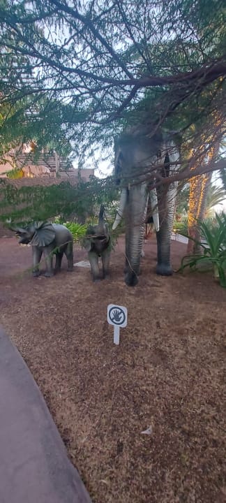 Pool Lopesan Baobab Resort