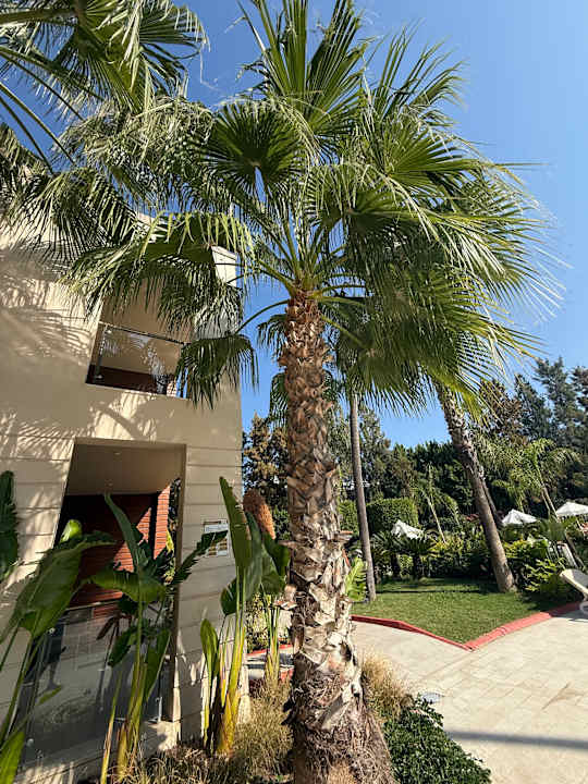 Gartenanlage Fame Residence Lara & Spa