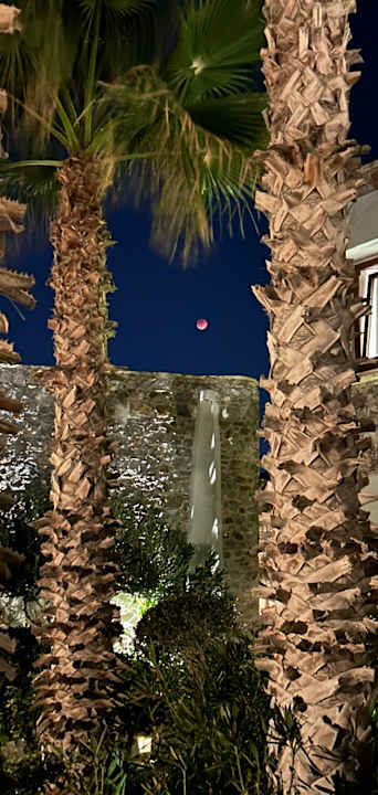 Gartenanlage Ikaros Beach Luxury Resort & Spa - Adults Only