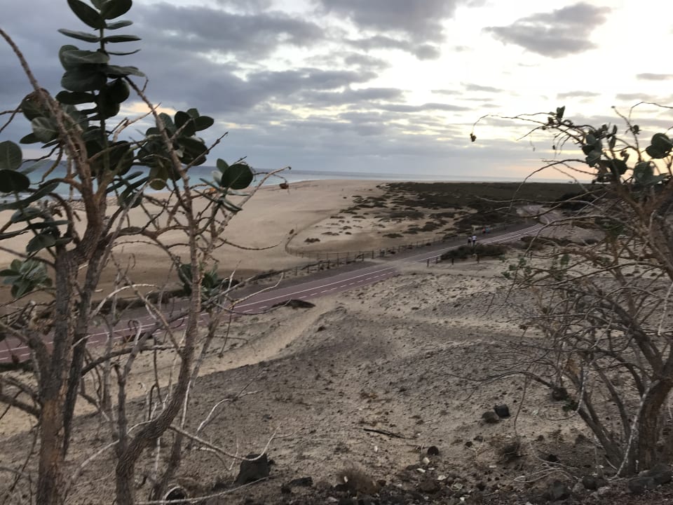 Strand Iberostar Waves Gaviotas Park