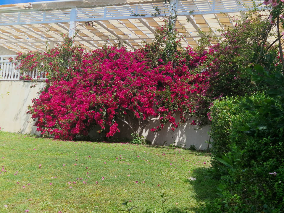 Gartenanlage Can Garden Resort