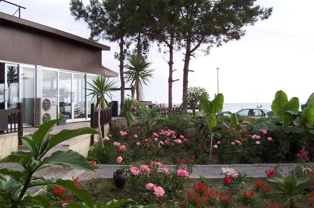 Meernähe Clover Magic Nova Beach