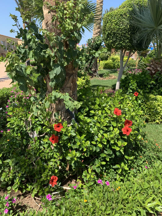 Gartenanlage Riviera Aqua Park Resort