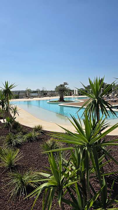 Pool Anda Barut Collection