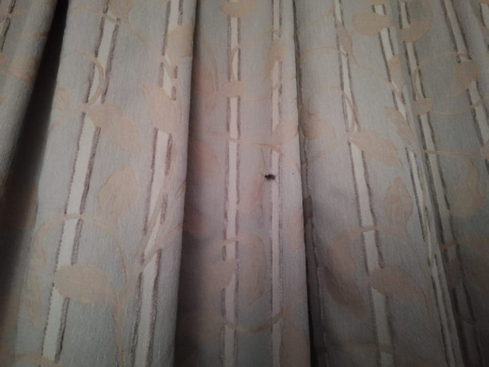 Zimmer Hotel Vile Park