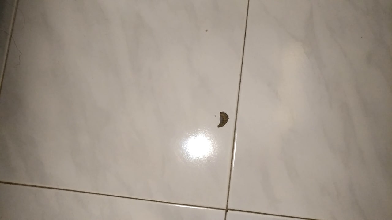 Zimmer SBH Hotel Taro Beach