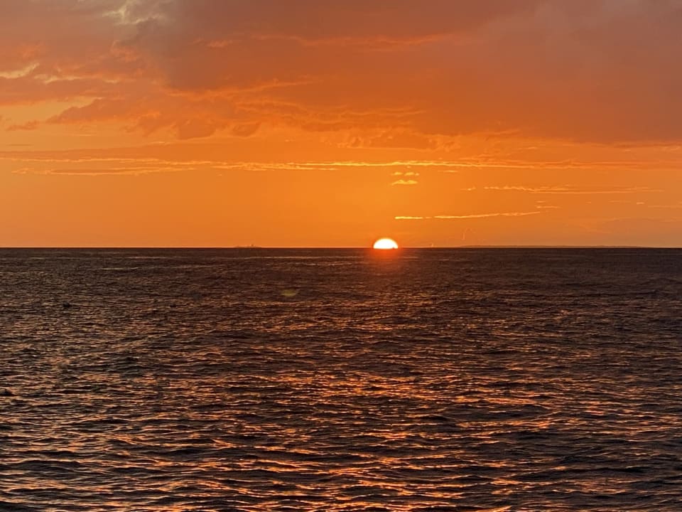 Ausblick Hotel Viva Dominicus Beach by Wyndham - All Inclusive Resort