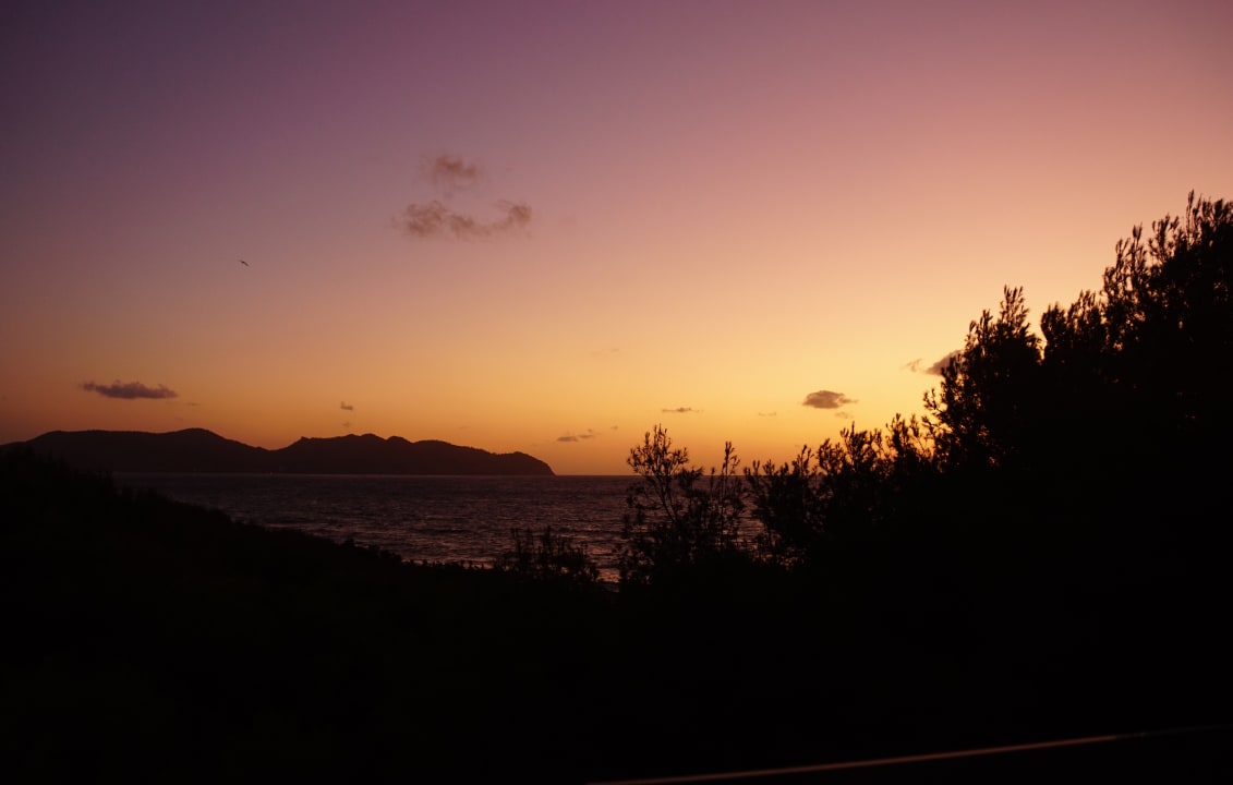 Ausblick Hipotels Bahía Cala Millor