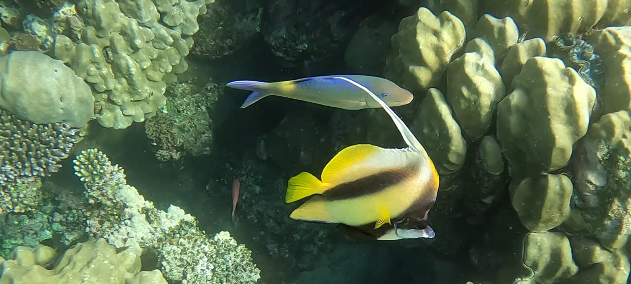 Sport & Freizeit Malikia Resort Abu Dabbab