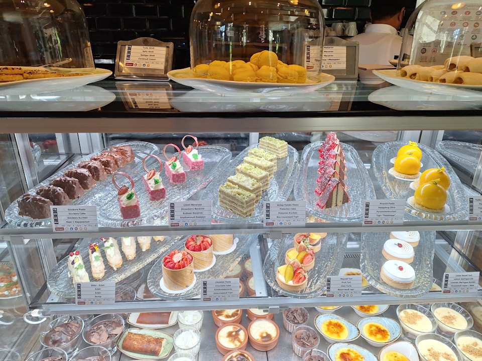 Gastro Acanthus Cennet Barut Collection