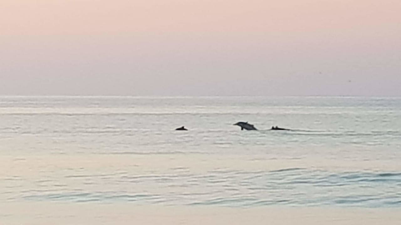 Strand Souly Eco Lodge