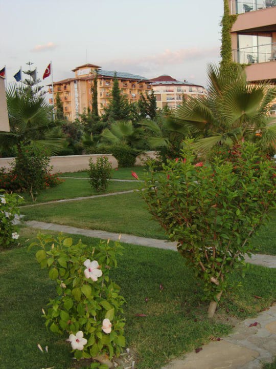 Dachgarten Aska Hotel Just in Beach