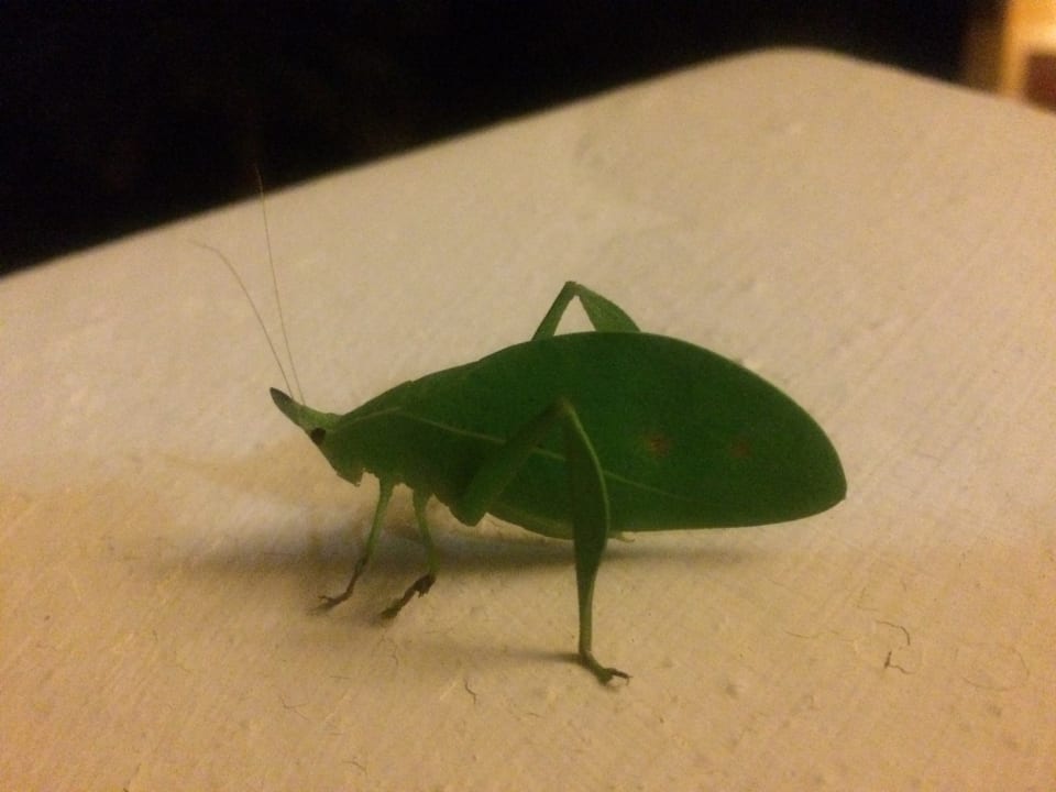 Sonstiges Catalonia Royal Tulum Beach & Spa Resort - Adults only