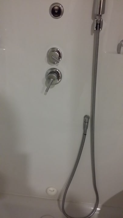 Zimmer Royal Seginus