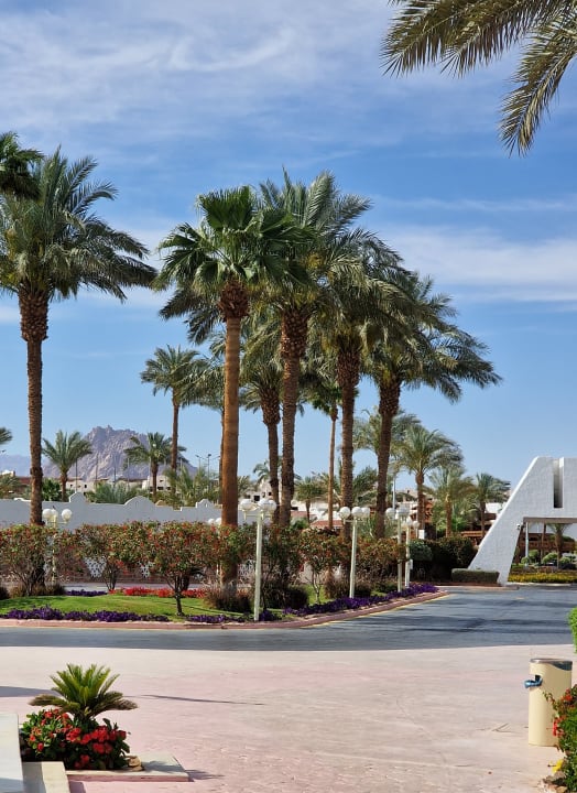 Gartenanlage Ghazala Gardens