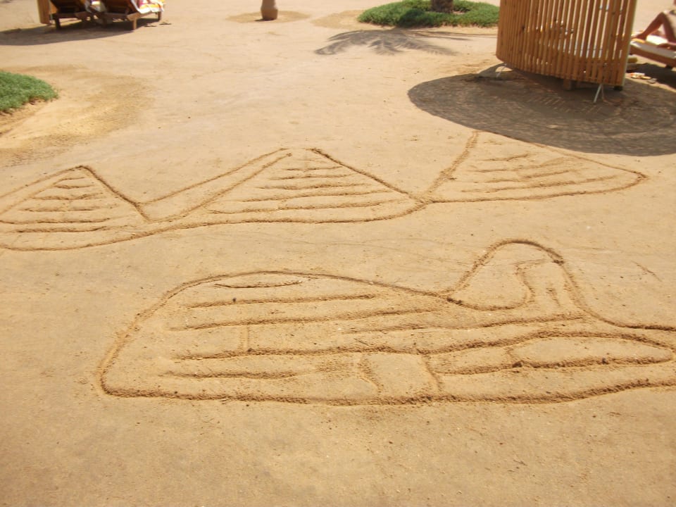 Bodenmotiv Desert Rose