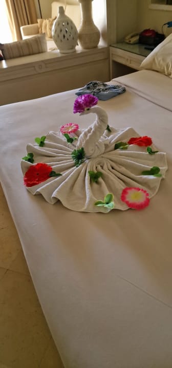 Zimmer Makadi Spa - Adults only