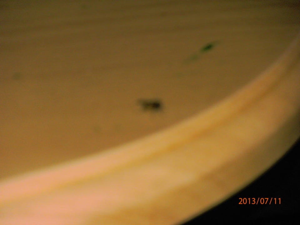 Zimmer Waschbecken Hotel El Mouradi Skanes Beach