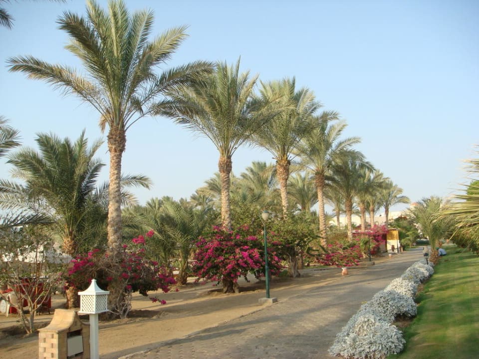 Ansicht Brayka Bay Resort