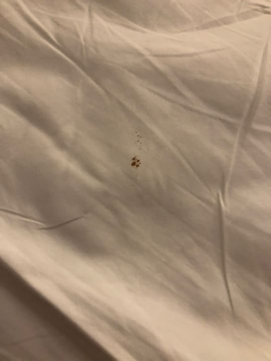 Zimmer Best Western Premier Bangtao Beach Resort & Spa