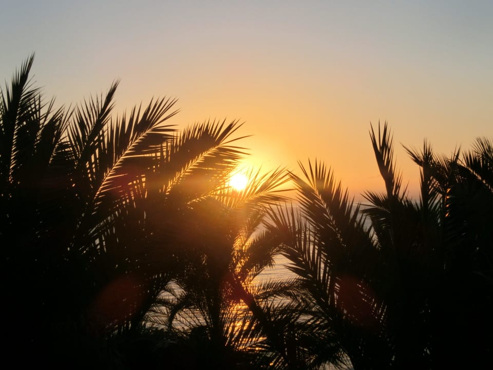 Sonnenaufgang Pestana Grand Ocean Resort