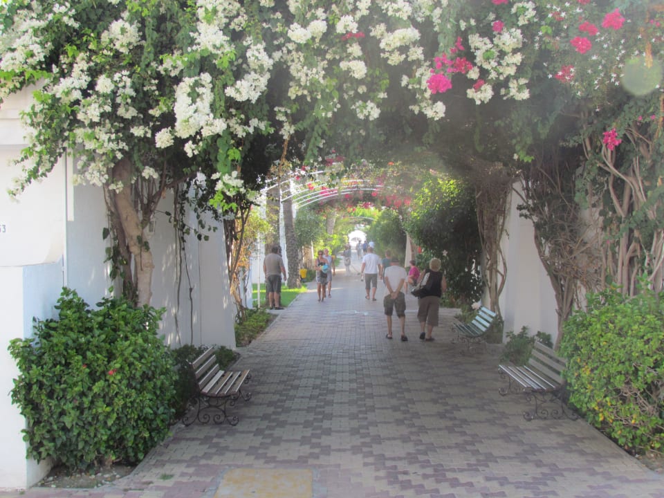 Weg zum Strand El Mouradi Club Kantaoui