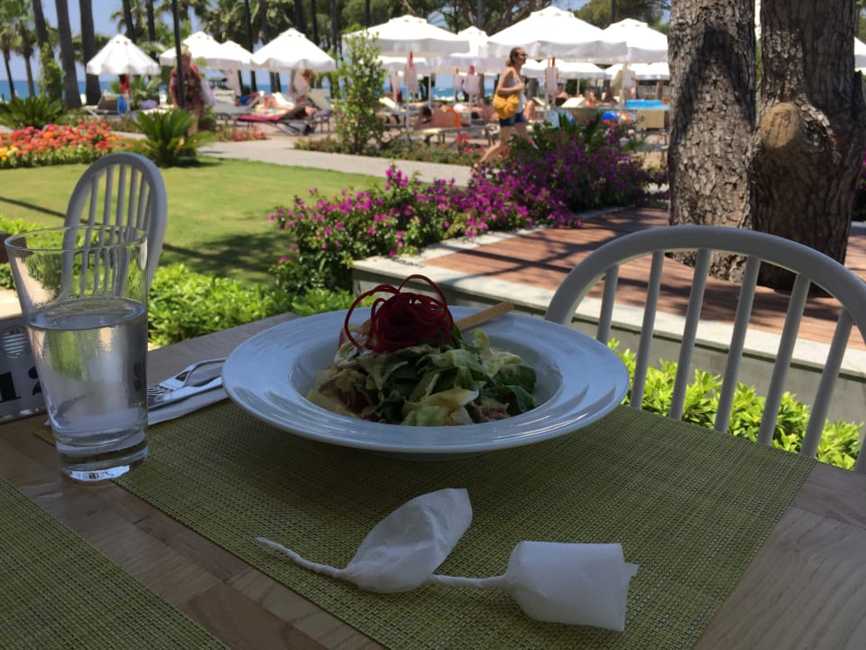 Restaurant Acanthus Cennet Barut Collection