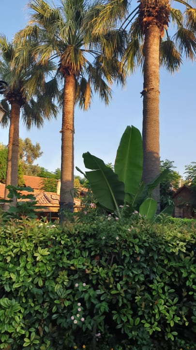 Gartenanlage Can Garden Beach