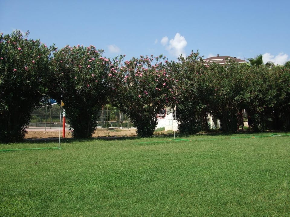 Liegewiese im Garten Seher Kumköy Star Resort & Spa