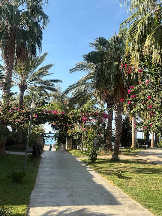 Gartenanlage Seaden Sea Planet Resort & Spa