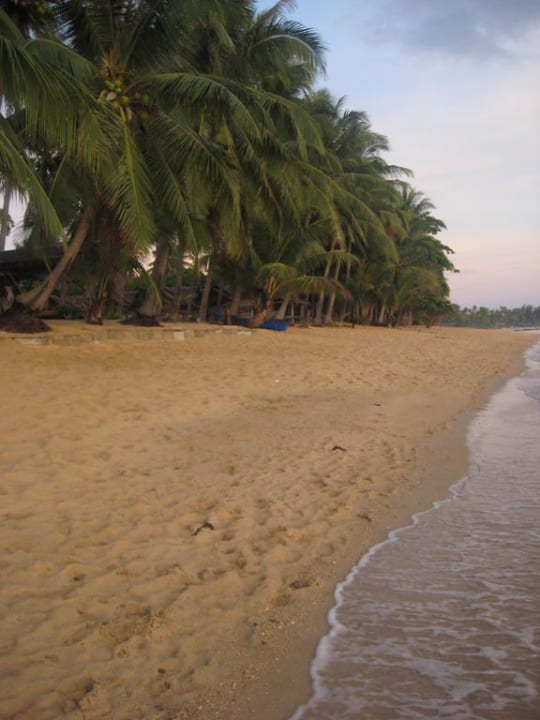 Maenam Beach Hotel Palm Point Village